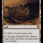 Petrified Field